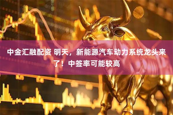 中金汇融配资 明天，新能源汽车动力系统龙头来了！中签率可能较高